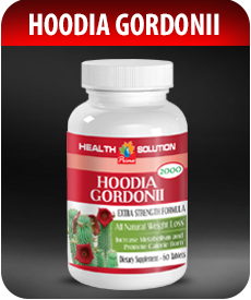 Hoodia Gordonii Supplement by Vitamin Prime